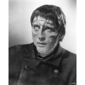 Curse of Frankenstein Christopher Lee Photo
